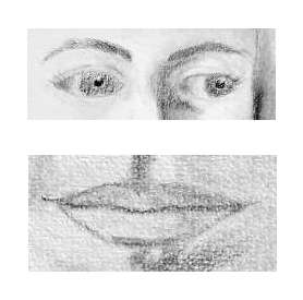 Portfolio portraits